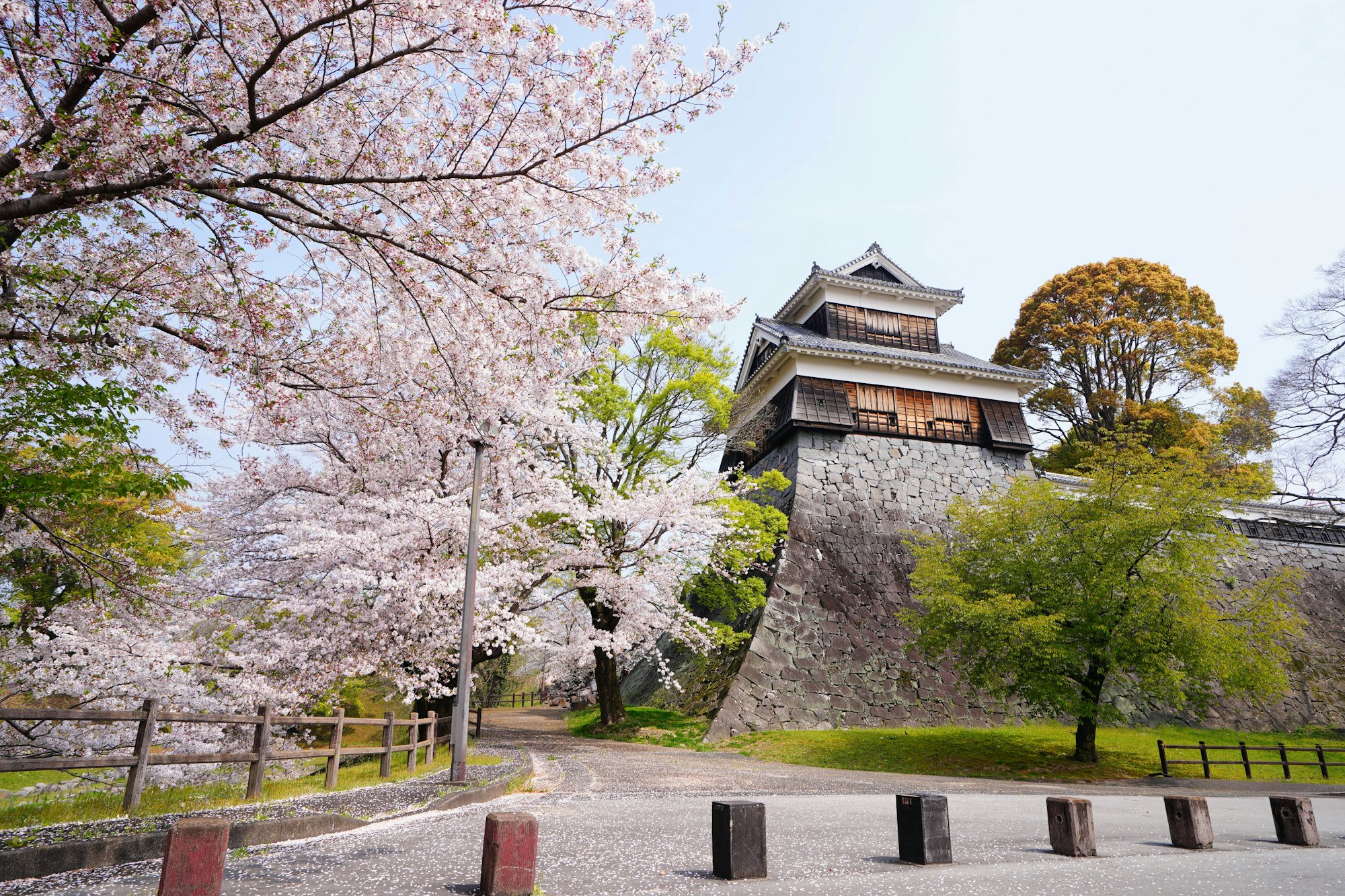 桜の咲く熊本城